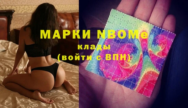 стафф Богданович